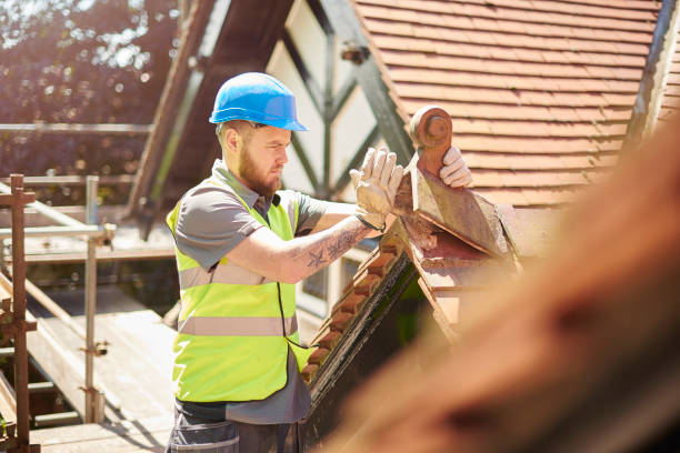 Best Flat Roof Repair Services  in Ridgely, TN